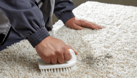 Professional Rug Cleaning Whittington